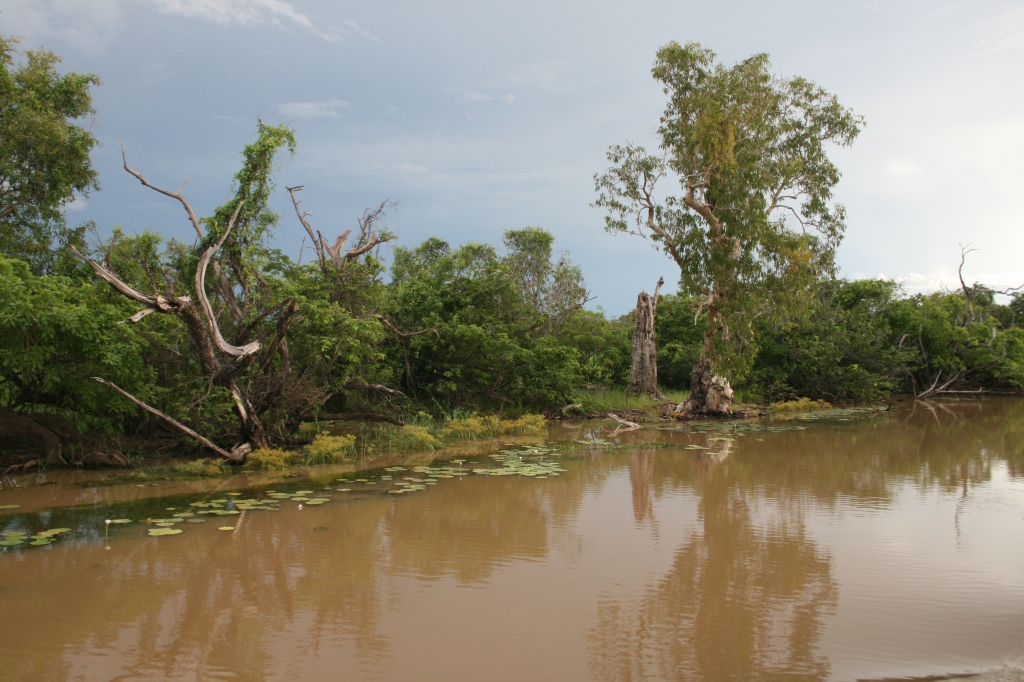 Australia: Darwin i Kakadu National Park